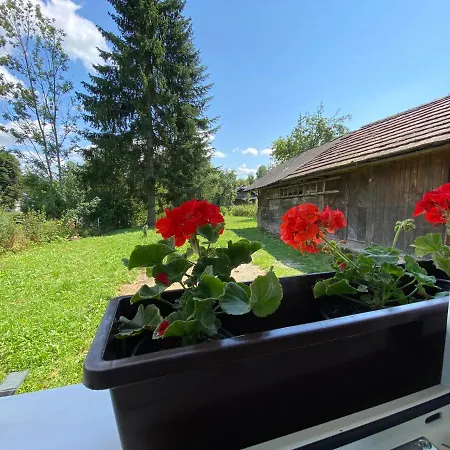 злата хата Holiday home *