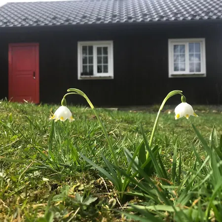 Semesterbostad злата хата Urych