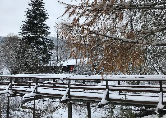 злата хата