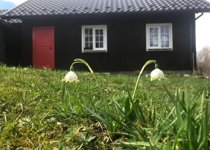 Holiday home злата хата Urych